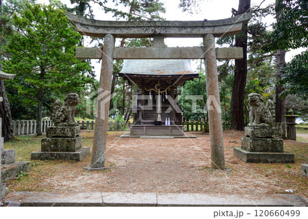 天橋立神社 120660499
