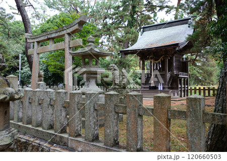 天橋立神社 天橋立神社 120660503