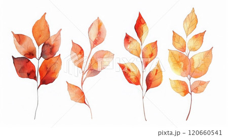 Colorful autumn leaves. High quality photo 120660541