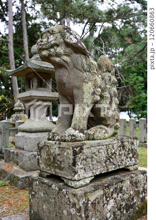 天橋立神社 狛犬 天橋立神社 狛犬 120660863