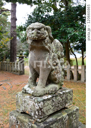 天橋立神社 狛犬 天橋立神社 狛犬 120660865