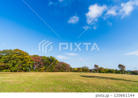 秋の青空と丘の上の広い公園 秋の青空と丘の上の広い公園 120661144
