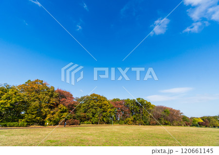 秋の青空と丘の上の広い公園 120661145