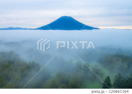 北海道 雲海と羊蹄山  120661164