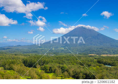 北海道 青空と羊蹄山  120661182