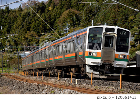信越本線を走る211系普通電車4両 120661413