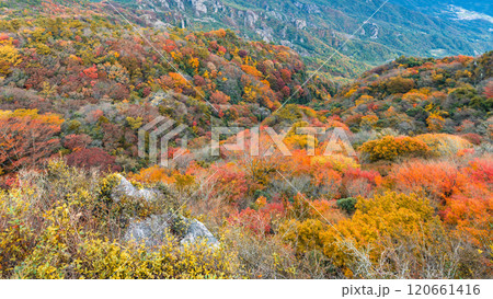 【香川県  小豆島】紅葉した秋の寒霞渓　自然風景 120661416
