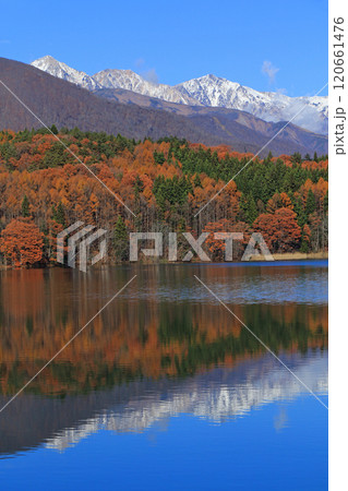 晩秋の青木湖と白馬三山 晩秋の青木湖と白馬三山 120661476