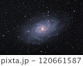M33 さんかく座の渦巻き銀河 120661587