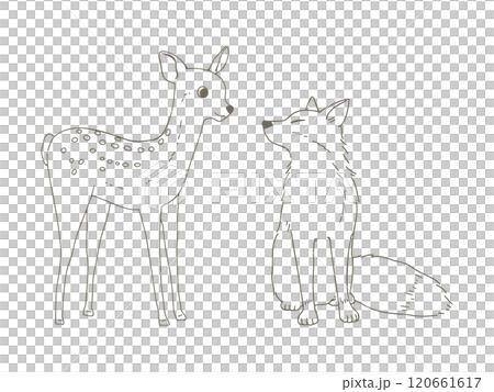 かわいい小鹿とキツネの手書き線画イラスト 120661617