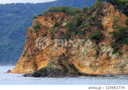 黄金崎の名の元となった、金色に見える岸壁。  静岡県伊豆半島賀茂郡西伊豆町宇久須黄金崎ビーチ2024 120661734
