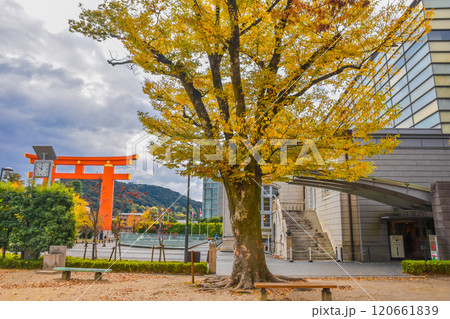 秋の京都市　岡崎公園エリアの街並み 120661839