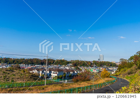 晩秋　小春日和の丘から八王子市街を見晴らす 120661945