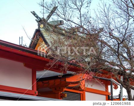 車折神社 芸能神社 車折神社 芸能神社 120661988