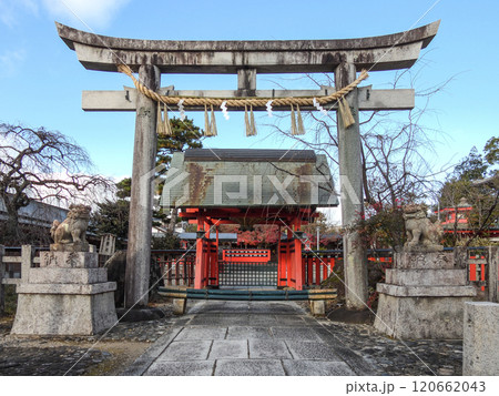 車折神社　大鳥居 120662043