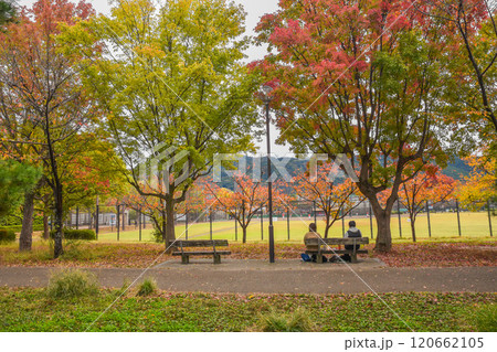秋の京都市 岡崎公園エリアの街並み 秋の京都市 岡崎公園エリアの街並み 120662105