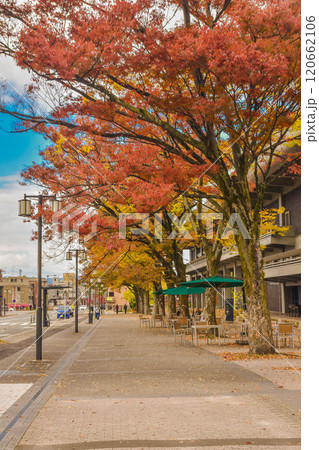 秋の京都市　岡崎公園エリアの街並み 120662106