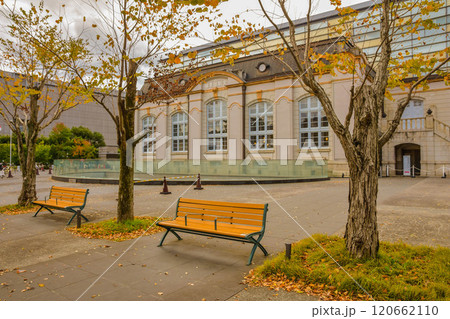 秋の京都市 岡崎公園エリアの街並み 秋の京都市 岡崎公園エリアの街並み 120662110