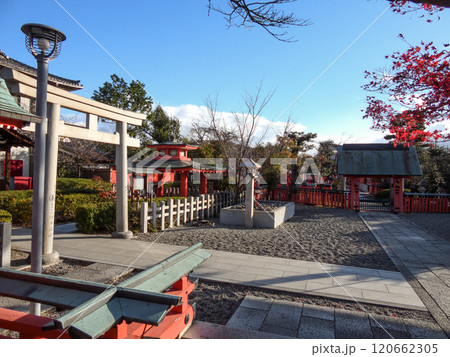 車折神社　本殿入口（石鳥居） 120662305