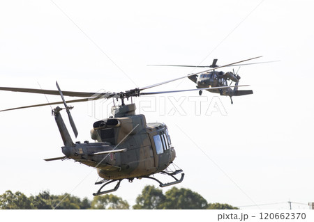 陸上自衛隊のヘリコプター 陸上自衛隊のヘリコプター 120662370