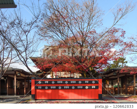 車折神社 本殿前の回廊 車折神社 本殿前の回廊 120662833