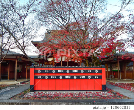 車折神社 本殿前の回廊 車折神社 本殿前の回廊 120662835