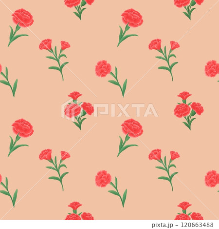 Seamless pattern with Red carnations On Orange background 120663488