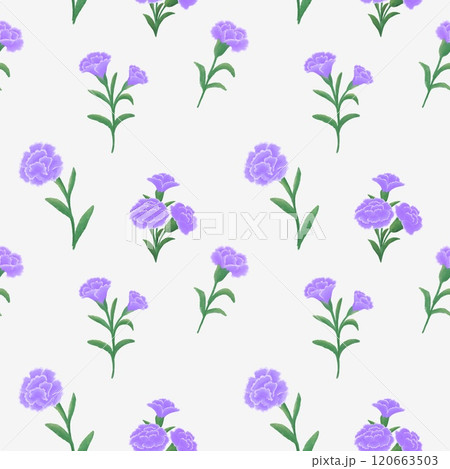 Seamless pattern with purple carnations On white background 120663503