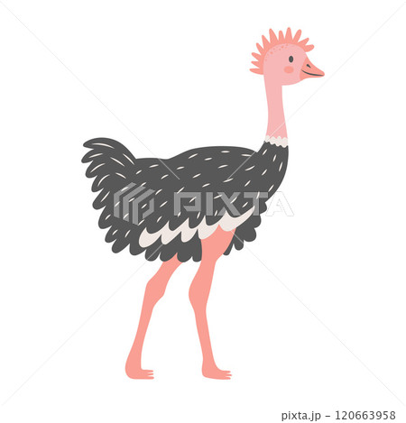 Cute ostrich isolated on white background. Cartoon nursery art baby character. Cute ostrich isolated on white background. Cartoon nursery art baby character. 120663958