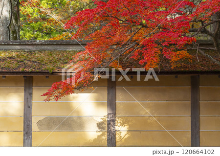 高野山 壇上伽藍 紅葉に包まれた勧学院 高野山 壇上伽藍 紅葉に包まれた勧学院 120664102