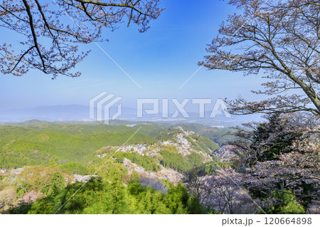 桜満開の世界遺産　早朝の吉野山 120664898