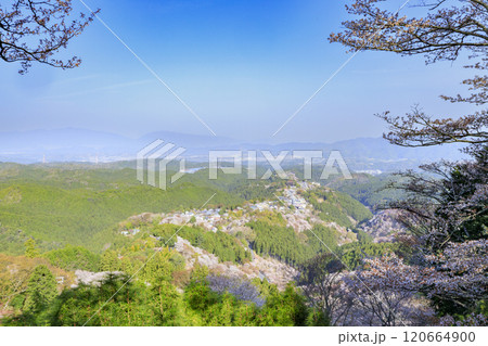 桜満開の世界遺産　早朝の吉野山 120664900