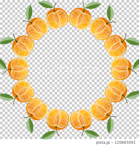 Tangerine round watercolor frame isolated on white. High quality hand drawn clip art perfect for food design, packages, restaurant menu, cards, poster, natural organic food ads, label, logo and decor Tangerine round watercolor frame isolated on white. High quality hand drawn clip art perfect for food design, packages, restaurant menu, cards, poster, natural organic food ads, label, logo and decor 120665091