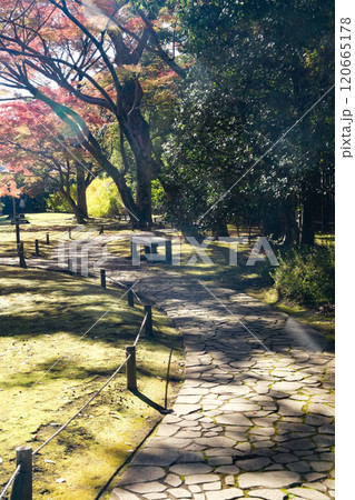 紅葉のある風景 120665178