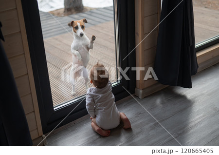 The dog stands at the patio window and asks to go inside the house to the baby boy. The dog stands at the patio window and asks to go inside the house to the baby boy. 120665405