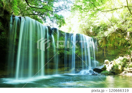 熊本県 新緑の鍋ヶ滝 熊本県 新緑の鍋ヶ滝 120666319