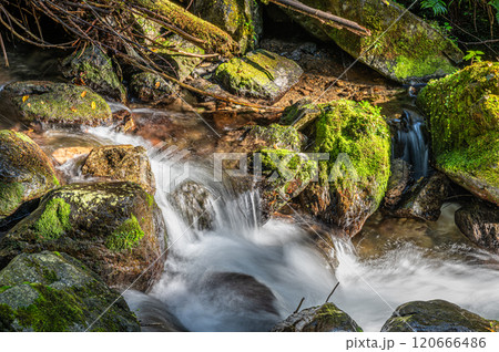 鞍馬川　京都鞍馬の清流　京都市 120666486