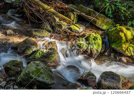 鞍馬川　京都鞍馬の清流　京都市 120666487