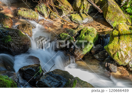 鞍馬川　京都鞍馬の清流　京都市 120666489