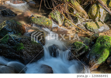 鞍馬川　京都鞍馬の清流　京都市 120666491