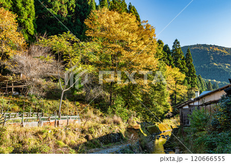 秋の鞍馬川風景　京都市鞍馬 120666555