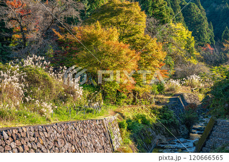 晩秋の鞍馬川風景　京都市 120666565
