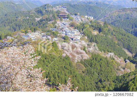 桜満開の世界遺産 早朝の吉野山 桜満開の世界遺産 早朝の吉野山 120667082