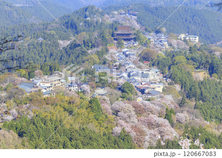 桜満開の世界遺産　早朝の吉野山 120667083