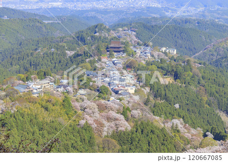 桜満開の世界遺産 早朝の吉野山 桜満開の世界遺産 早朝の吉野山 120667085