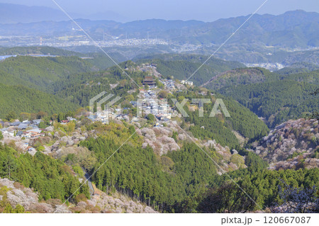 桜満開の世界遺産　早朝の吉野山 120667087