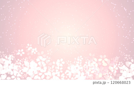 満開の桜の背景 満開の桜の背景 120668023