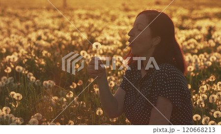 Beautiful Young Woman. Concept Of Joy And Dreams. Beautiful Woman Blowing On A Ripe Dandelion Whose Seeds Are Flying Around. Slow motion. Beautiful Young Woman. Concept Of Joy And Dreams. Beautiful Woman Blowing On A Ripe Dandelion Whose Seeds Are Flying Around. Slow motion. 120668213