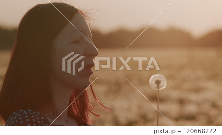 Woman Blowing On Dandelion. Woman Holds A Dandelion. Caucasian Happy Woman Blowing Dandelions In Summer Countryside At Sunset. Gimbal shot. 120668222