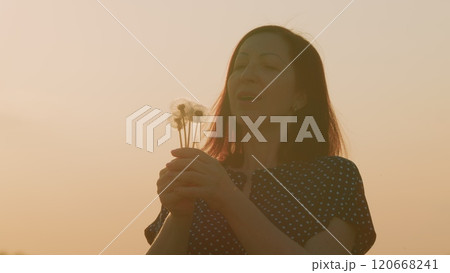 brunette Female Blowing Dandelion Outside At Sunset. Joyful Female Smiles And Blows A Dandelion. Happy Adult. Gimbal shot. brunette Female Blowing Dandelion Outside At Sunset. Joyful Female Smiles And Blows A Dandelion. Happy Adult. Gimbal shot. 120668241